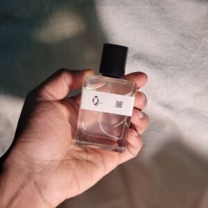 Louis Vuitton Imagination